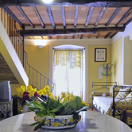 Vecchio Olivo Montecarlo