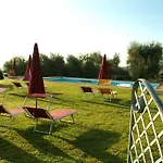 Vecchio Olivo * Montecarlo